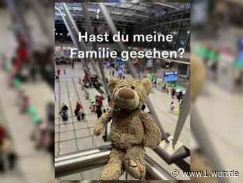 Teddy findet nach Aufruf seine Familie wieder