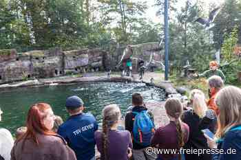 Pinguine, Ziegen, Vogelhäuser und eigenes Futter: Herbstferien im Amerika-Tierpark Limbach