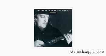 Swingin' - John Anderson