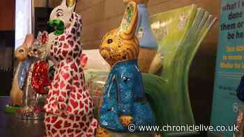 The incredible record-breaking total raised by Peter Rabbit Tales of the Tyne sculptures at auction
