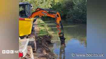 Historic canal bank repaired after water vole damage
