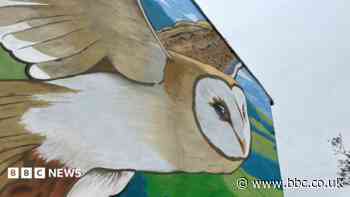 Barn owl mural painted in bid to protect green space