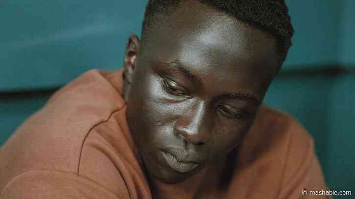 Animol review: Ashley Walters tense and tender feature debut shines light on young offenders