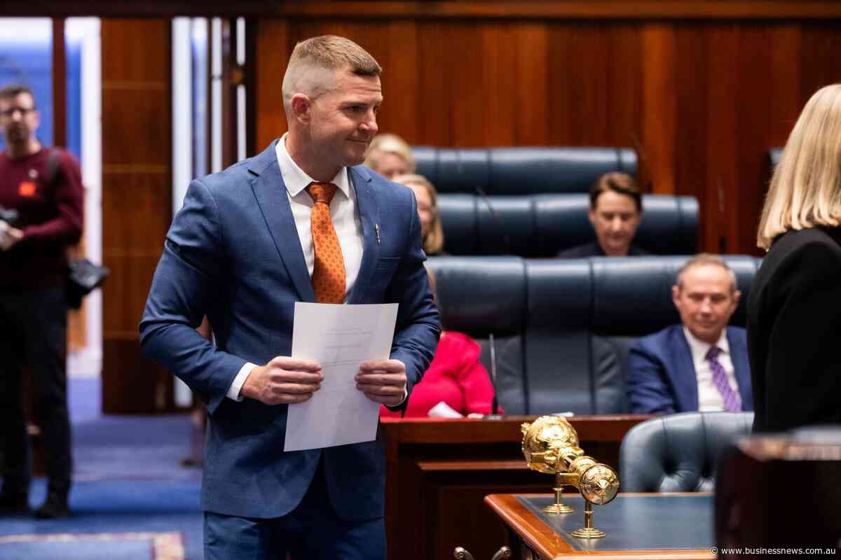 One Nation MP delivers pointed first speech