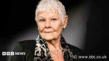 Dame Judi Dench: 'I can't do a play, a film or read any more'
