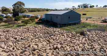 Live sheep export by sea transition funds almost gone as 2028 phaseout looms