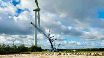 RWE lässt Windkrafträder im Papenteich abbauen – Warum?