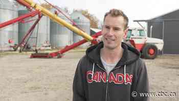Late rains bring bumper soybean crops for some southeastern Manitoba farmers
