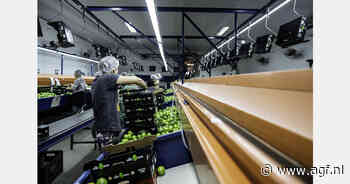 "Schaarste op limemarkt na lage Braziliaanse export"