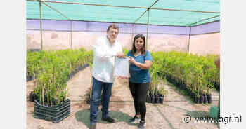 Peru opent nieuw granaatappelgebied in het zuiden van het land