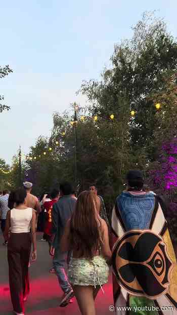 POV: you found your way back to Tomorrowland.