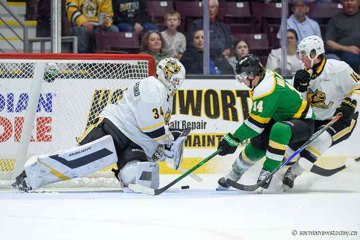 Sting rally to claim game one of the Battle of the 402