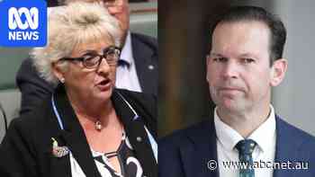 Nationals leader set to attempt switch to lower house
