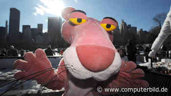 Pink Panther bei französischen Protesten? Diese Bilder sind Fake