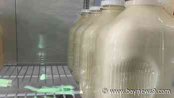 American Academy of Pediatrics endorses nationwide ban on raw milk sales