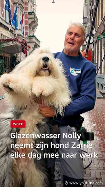 Glazenwasser neemt hond elke dag mee naar werk