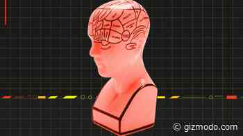 AI Chatbots Are Building an ‘Algorithmic Self-Portrait’ of You