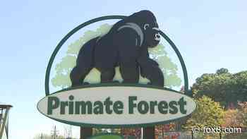 Cleveland Metroparks Zoo's Primate Forest opens after years of construction