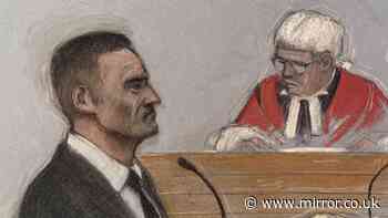 Tommy Robinson sobs in court as he claims he was left 'terrified' on holiday