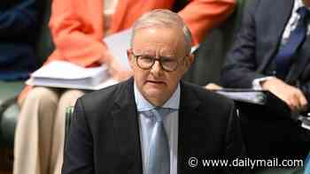 Corruption watchdog weighs in after Anthony Albanese's office evades questions on $6million golf club grant called out by injured MP Helen Haines