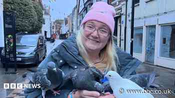 Pigeon care group helps birds with stringfoot