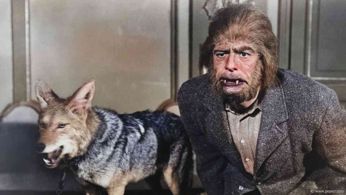 Some people really are werewolves—at least, in their minds