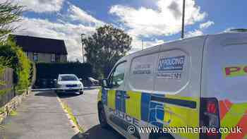 Honley detectives comb street for clues after man 'taken away on stretcher'