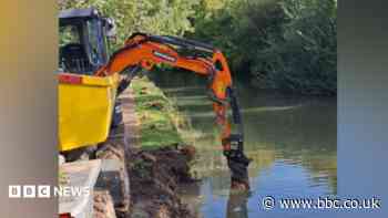 Historic canal bank repaired after water vole damage