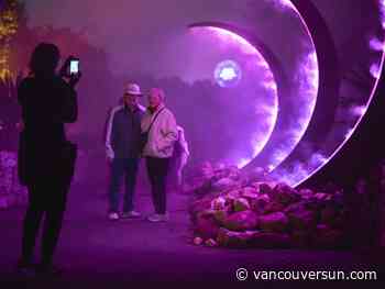 Astra Lumina brings the stars down to Stanley Park