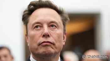 Rubio, Hegseth point finger at Musk in Starlink slowdown