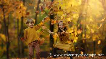 Half-term events across Coventry and Warwickshire to entertain the kids