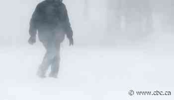 Fall storm could bring 15-25 cm of snow to northern Manitoba
