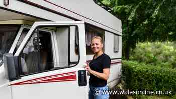 Woman guts campervan and people astounded when they see what it's now become