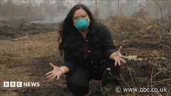 Why is a peat fire so bad? BBC is in Indonesia to find out