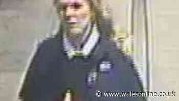 CCTV images released after attempted child abduction at train station