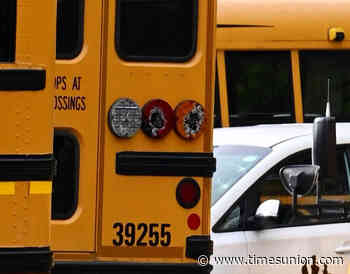 Police arrest suspect in Schenectady bus vandalism investigation