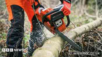 Teen advised not to fell tree that killed him, inquest told