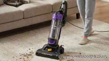'Best vacuum we've had in years' now less than £60 in double discount deal
