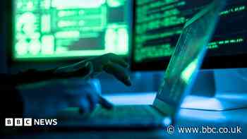 Councils and NHS boards take websites offline after security alert