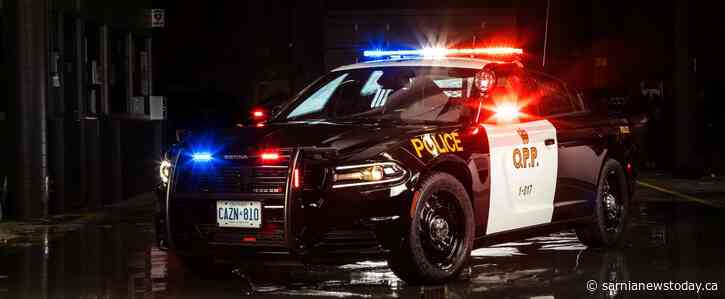 Multiple charges laid in Plympton-Wyoming disturbance