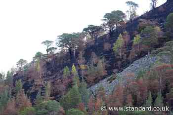 We must be ready for another ‘difficult’ season of wildfires, FM warns