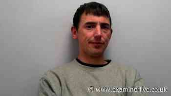 Burglar claimed DNA was on knife because he'd chopped onions for victim's Sunday dinner