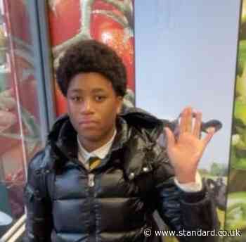 Family pays tribute to e-bike rider, 17, killed in north London crash