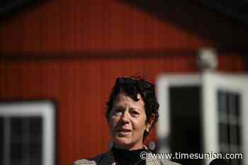 With a specific lawmaker in mind, Albany County voters asked to weigh discipline measure