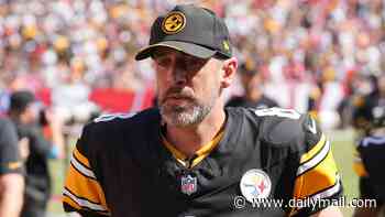 Aaron Rodgers' brother 'doesn't know much' about NFL star's mystery wife as insider hints there's still tension between siblings despite family reunion