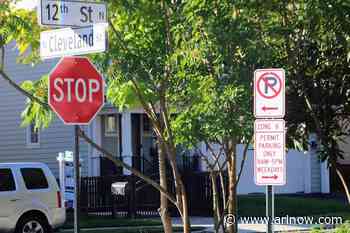 Proposed sidewalk near Courthouse sparks debate over tree loss, pedestrian safety