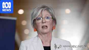 Helen Haines pressed PM on regional health days before car attack