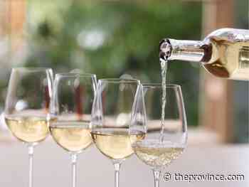 Wine Guy: Yes, whites have a spot in cosy, fall selections