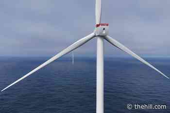 Pentagon advances some wind projects after freeze