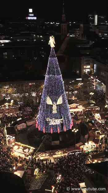 Der Weihnachtsbaum wächst wieder.